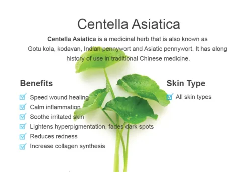 CENTELLA ASAITICA HYDROSOL