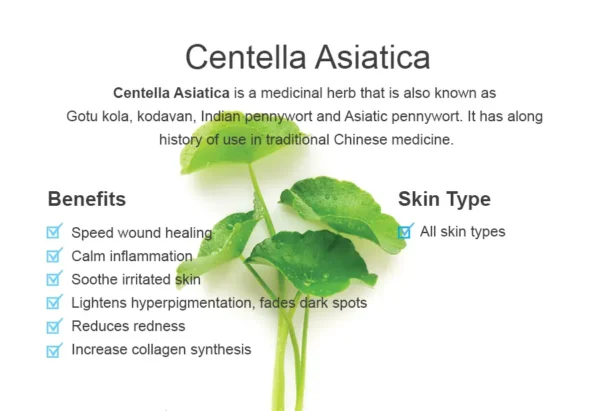 Centella-Asiatica (1) CENTELLA ASAITICA HYDROSOL