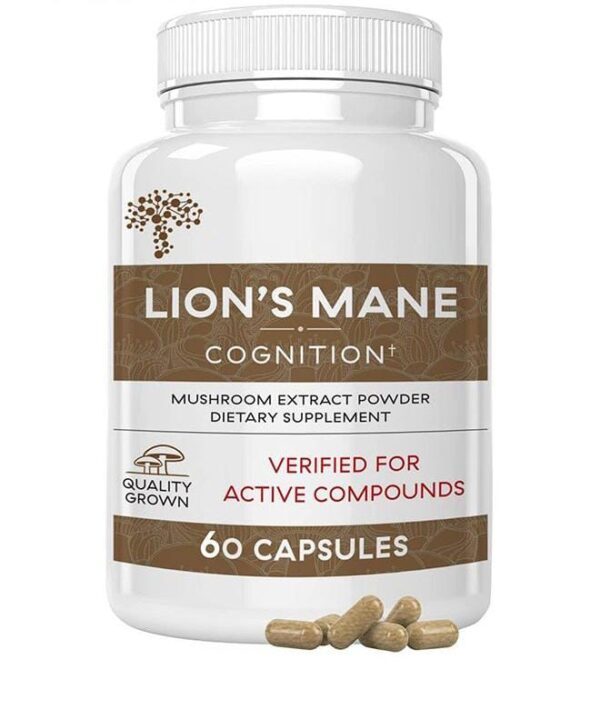 LIONS MANE cognition