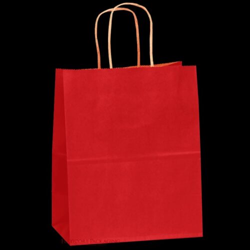 UNBRANDED PAPER BAG         Size 26×12×31cm